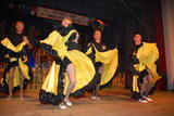 Stadtrodaer Fasching 17.02.2007 - DSC_1808.JPG