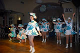 Laasdorfer Fasching 05.02.2011 - DSC_A9869.jpg