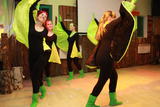 Meusebacher Fasching 15.03.2014 - IMG_0349.JPG